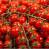 Tomates cerise