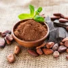 Cacao en poudre amer