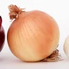 Oignon