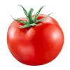 tomate