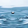 eau