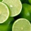 Citron vert